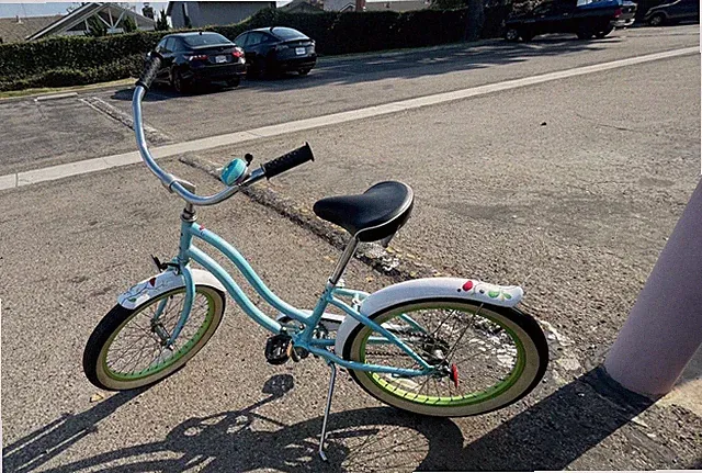 PHAT JUVENILE CRUISER BICYCLE , INCLUDE OWNER MANUAL BOOK